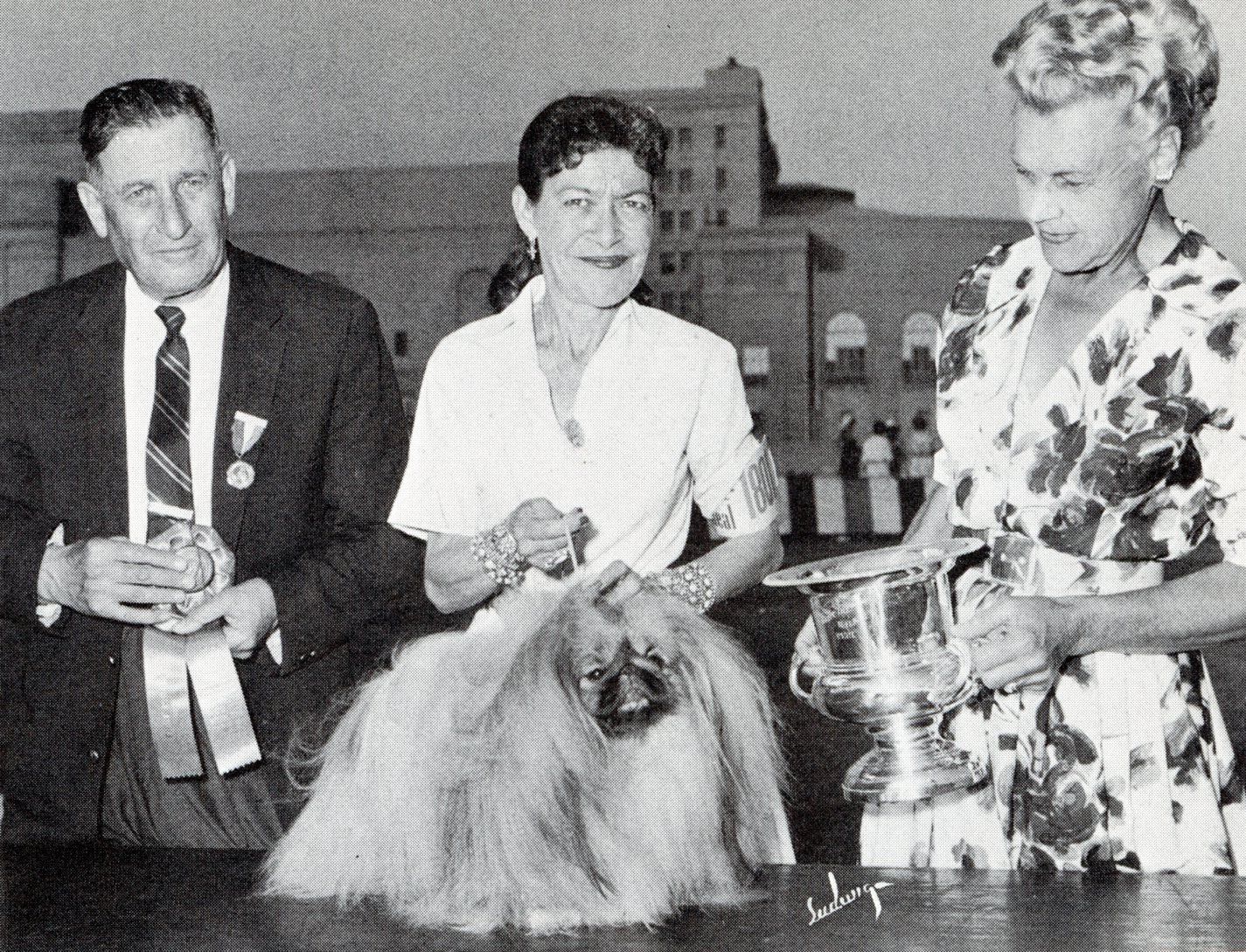 How Much Have They Changed?